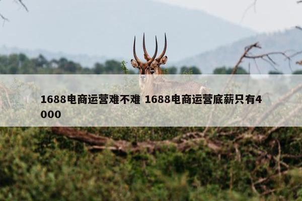 1688电商运营难不难 1688电商运营底薪只有4000