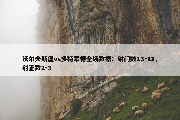 沃尔夫斯堡vs多特蒙德全场数据：射门数13-11，射正数2-3