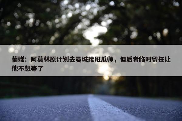 葡媒：阿莫林原计划去曼城接班瓜帅，但后者临时留任让他不想等了