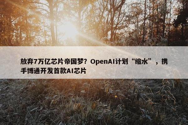 放弃7万亿芯片帝国梦？OpenAI计划“缩水”，携手博通开发首款AI芯片