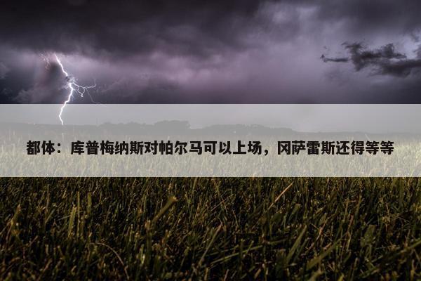 都体：库普梅纳斯对帕尔马可以上场，冈萨雷斯还得等等