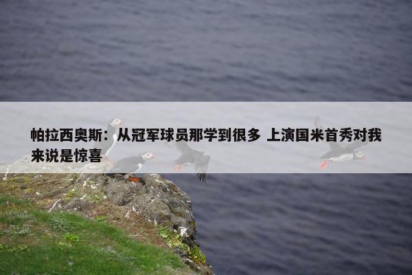 帕拉西奥斯：从冠军球员那学到很多 上演国米首秀对我来说是惊喜