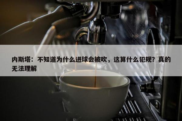 内斯塔：不知道为什么进球会被吹，这算什么犯规？真的无法理解