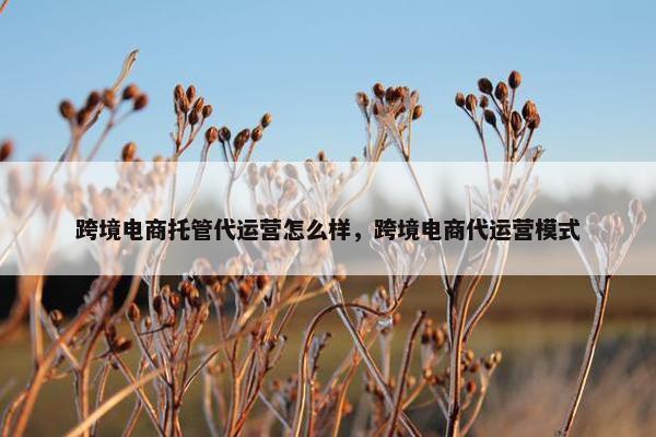 跨境电商托管代运营怎么样，跨境电商代运营模式