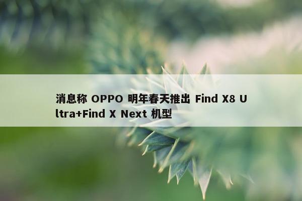 消息称 OPPO 明年春天推出 Find X8 Ultra+Find X Next 机型