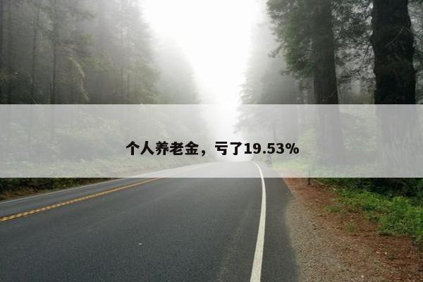 个人养老金，亏了19.53%