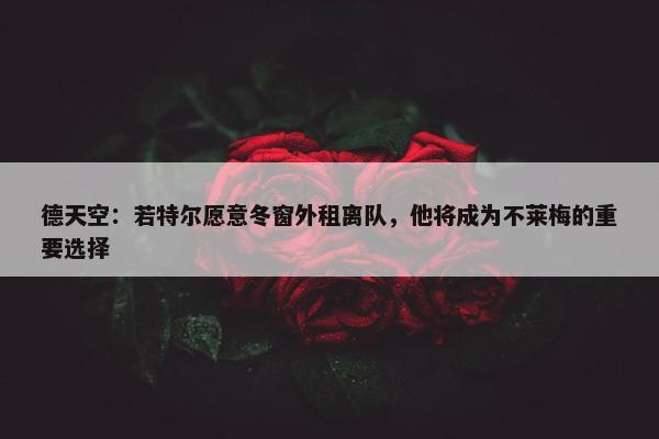 德天空：若特尔愿意冬窗外租离队，他将成为不莱梅的重要选择