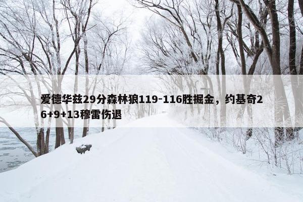 爱德华兹29分森林狼119-116胜掘金，约基奇26+9+13穆雷伤退