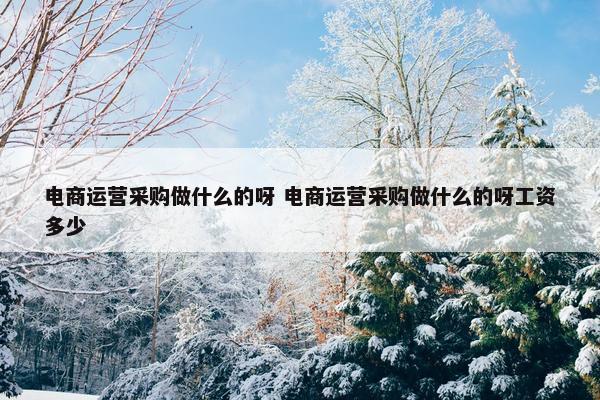 电商运营采购做什么的呀 电商运营采购做什么的呀工资多少