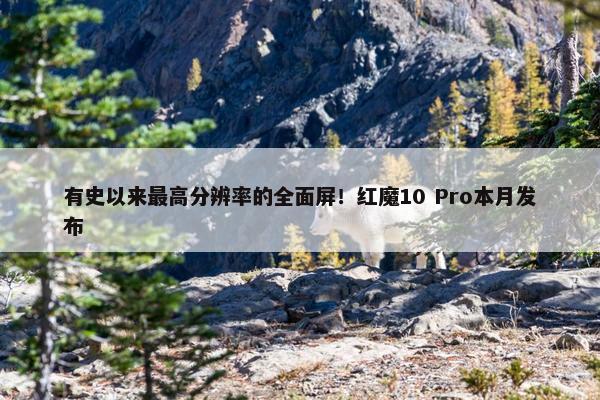 有史以来最高分辨率的全面屏！红魔10 Pro本月发布