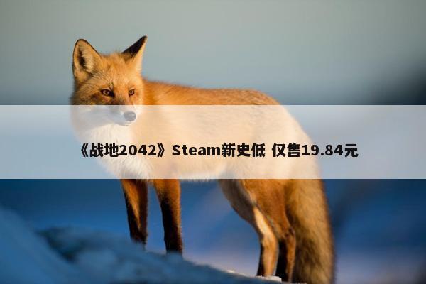 《战地2042》Steam新史低 仅售19.84元