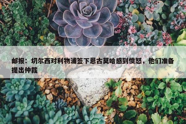 邮报：切尔西对利物浦签下恩古莫哈感到愤怒，他们准备提出仲裁