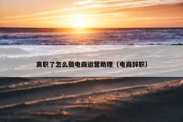 离职了怎么做电商运营助理（电商辞职）