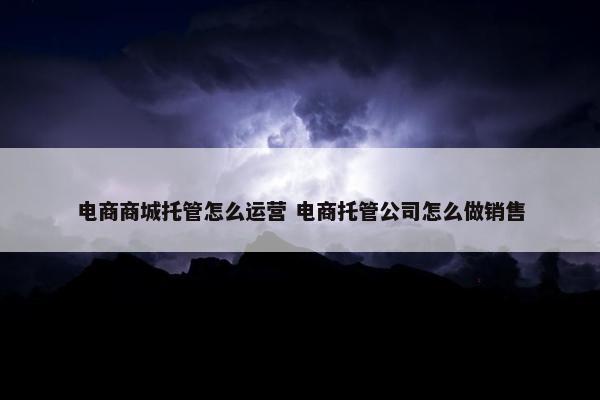 电商商城托管怎么运营 电商托管公司怎么做销售