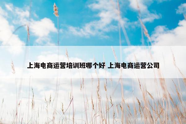 上海电商运营培训班哪个好 上海电商运营公司