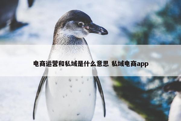 电商运营和私域是什么意思 私域电商app