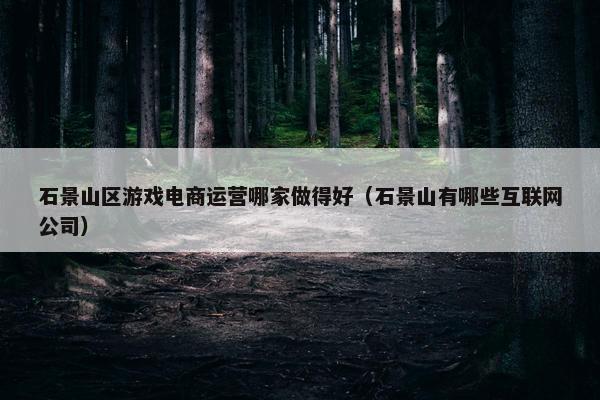 石景山区游戏电商运营哪家做得好（石景山有哪些互联网公司）