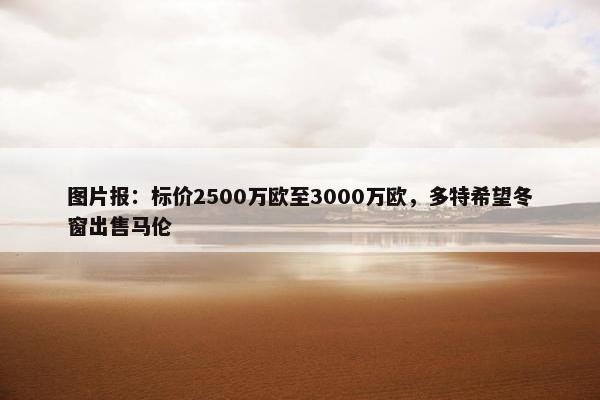 图片报：标价2500万欧至3000万欧，多特希望冬窗出售马伦