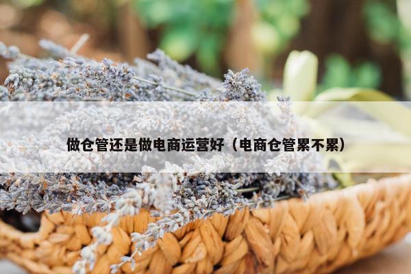 做仓管还是做电商运营好（电商仓管累不累）