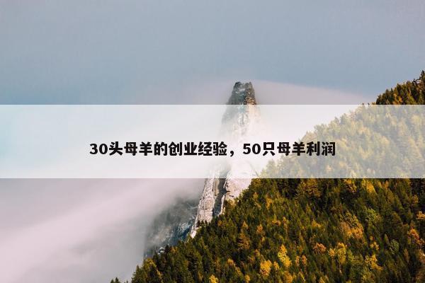 30头母羊的创业经验，50只母羊利润