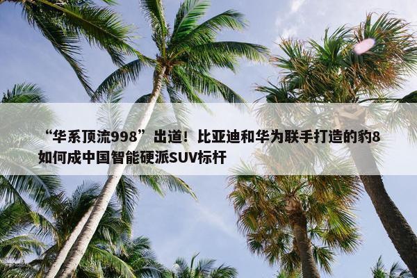 “华系顶流998”出道！比亚迪和华为联手打造的豹8如何成中国智能硬派SUV标杆