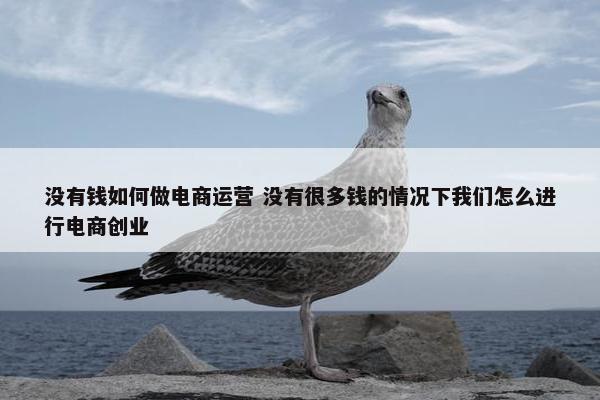 没有钱如何做电商运营 没有很多钱的情况下我们怎么进行电商创业