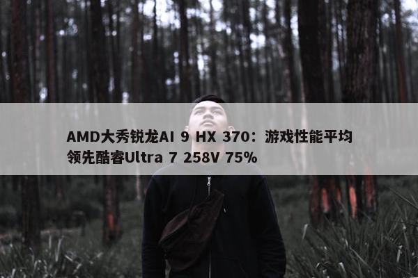 AMD大秀锐龙AI 9 HX 370：游戏性能平均领先酷睿Ultra 7 258V 75％