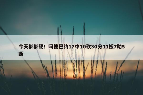 今天梆梆硬！阿德巴约17中10砍30分11板7助5断