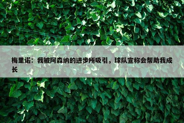 梅里诺：我被阿森纳的进步所吸引，球队宣称会帮助我成长