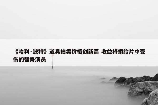 《哈利·波特》道具拍卖价格创新高 收益将捐给片中受伤的替身演员