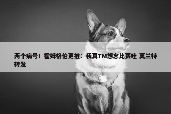 两个病号！霍姆格伦更推：我真TM想念比赛哇 莫兰特转发