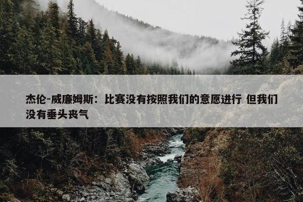 杰伦-威廉姆斯：比赛没有按照我们的意愿进行 但我们没有垂头丧气