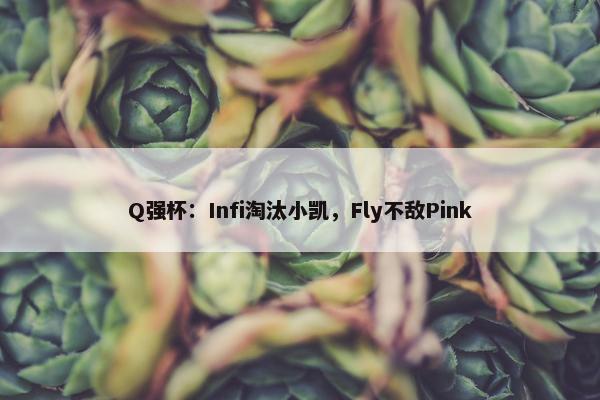 Q强杯：Infi淘汰小凯，Fly不敌Pink