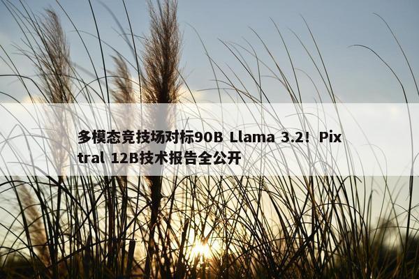 多模态竞技场对标90B Llama 3.2！Pixtral 12B技术报告全公开