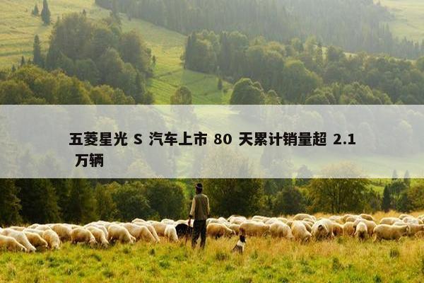 五菱星光 S 汽车上市 80 天累计销量超 2.1 万辆