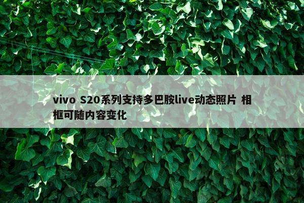 vivo S20系列支持多巴胺live动态照片 相框可随内容变化