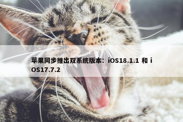 苹果同步推出双系统版本：iOS18.1.1 和 iOS17.7.2