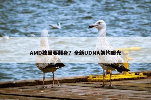 AMD独显要翻身？全新UDNA架构曝光