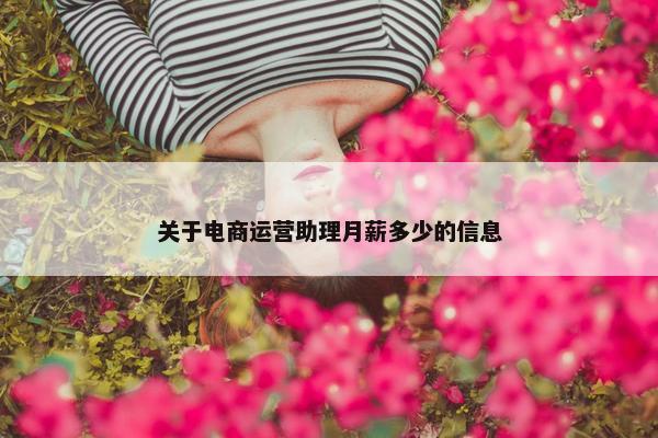 关于电商运营助理月薪多少的信息