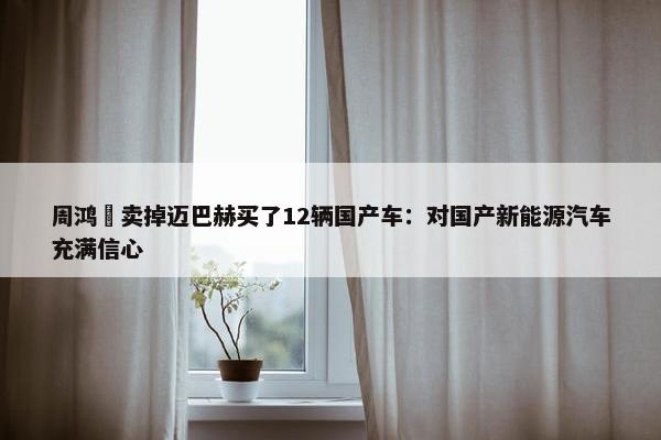 周鸿祎卖掉迈巴赫买了12辆国产车：对国产新能源汽车充满信心