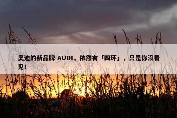 奥迪的新品牌 AUDI，依然有「四环」，只是你没看见！