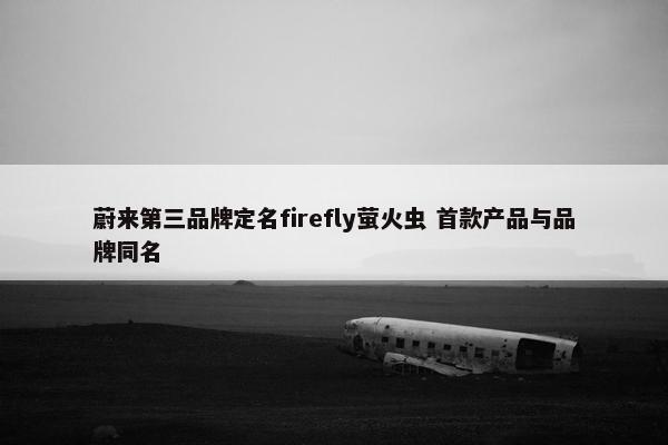 蔚来第三品牌定名firefly萤火虫 首款产品与品牌同名