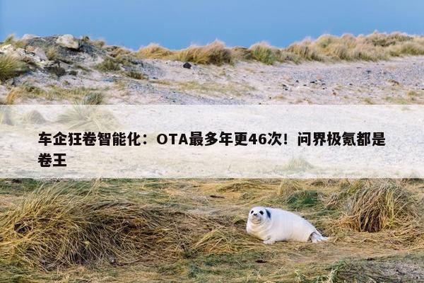 车企狂卷智能化：OTA最多年更46次！问界极氪都是卷王