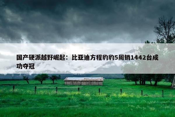 国产硬派越野崛起：比亚迪方程豹豹5周销1442台成功夺冠