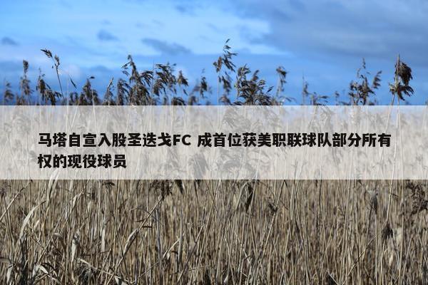 马塔自宣入股圣迭戈FC 成首位获美职联球队部分所有权的现役球员