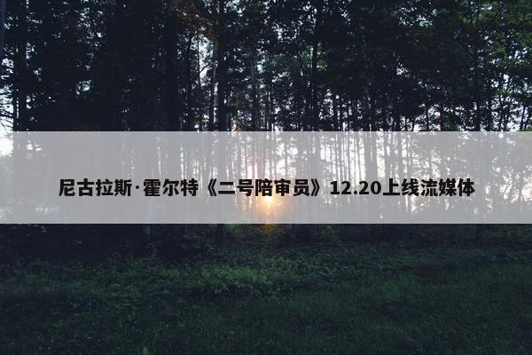 尼古拉斯·霍尔特《二号陪审员》12.20上线流媒体