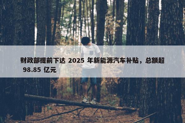 财政部提前下达 2025 年新能源汽车补贴，总额超 98.85 亿元