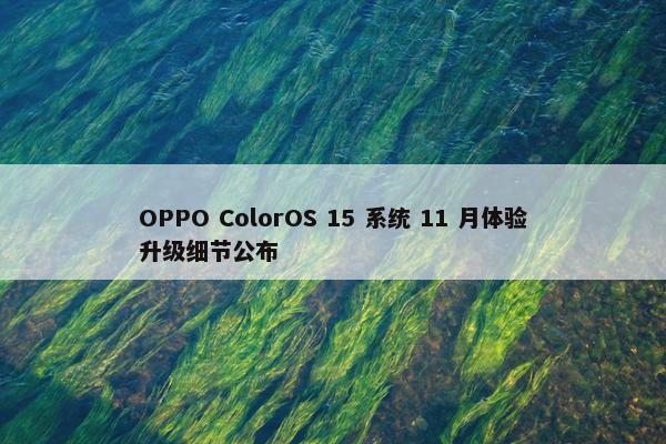 OPPO ColorOS 15 系统 11 月体验升级细节公布