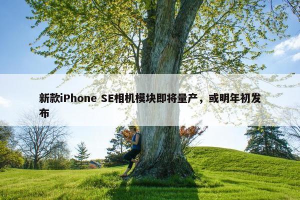 新款iPhone SE相机模块即将量产，或明年初发布