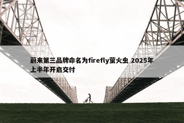 蔚来第三品牌命名为firefly萤火虫 2025年上半年开启交付